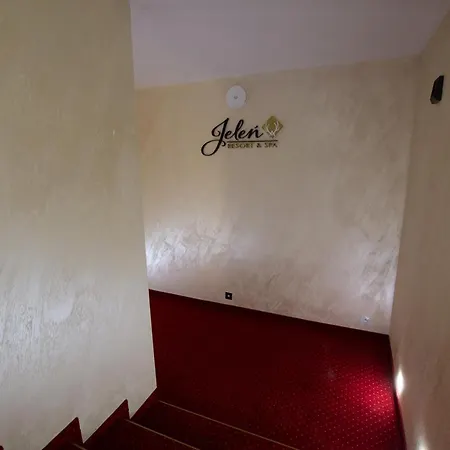 Resort Jelen Resort&spa *