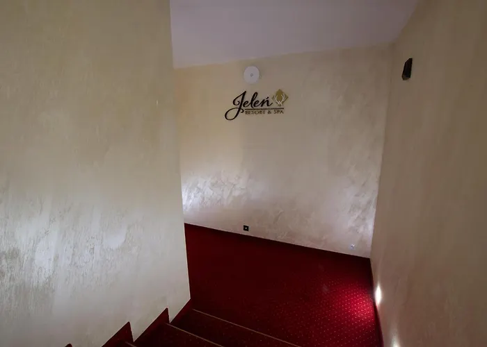 Resort Jelen Resort&spa *