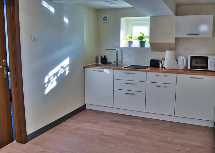 Resort Jelen Resort&spa *